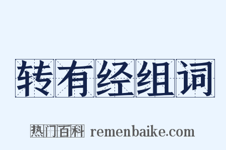 转有经组词是什么意思的图片